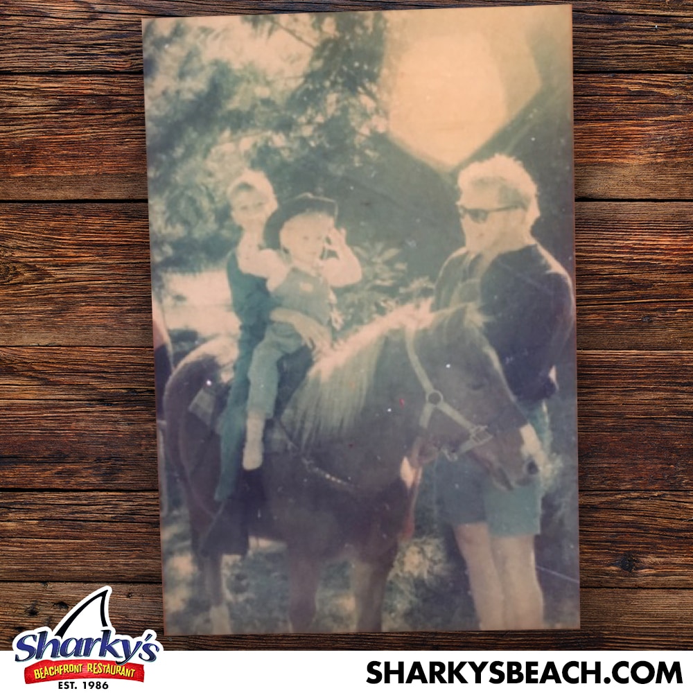 Father with kids on horse at Sharky's